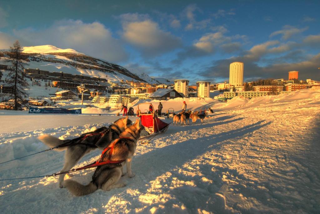 Il Fraitevino Hotel Bed & Breakfast Colle Colle Sestriere Exterior photo